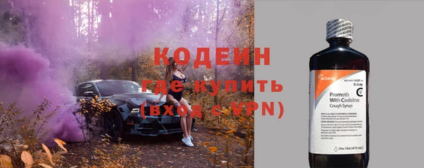эйфоретик Гусев