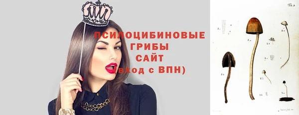 тгк Гусь-Хрустальный