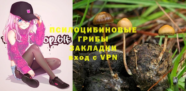 эйфоретик Гусев