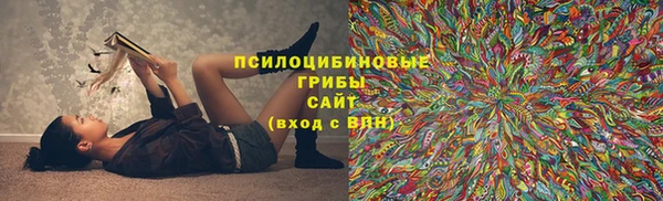 эйфоретик Гусев