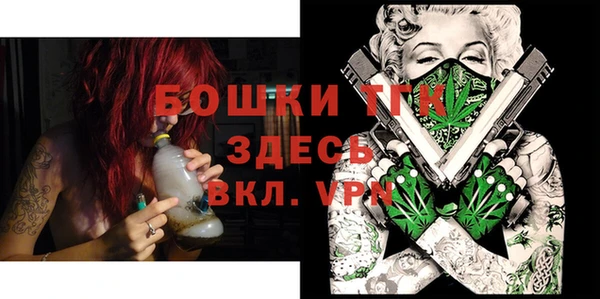 тгк Гусь-Хрустальный