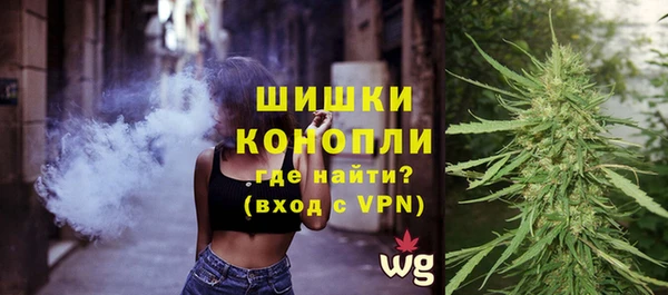 эйфоретик Гусев